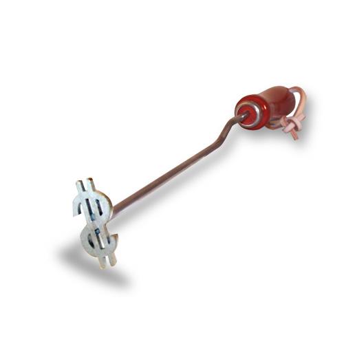 Dollar Sign BBQ Branding Iron